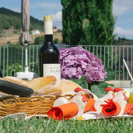 Farm stay Quinta De Fiaes *