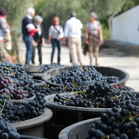 בית חווה Quinta De Fiaes Vilar de Macada