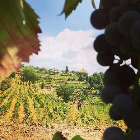 Quinta De Fiaes בית חווה *