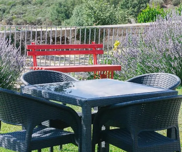 Quinta De Fiaes 팜스테이 *