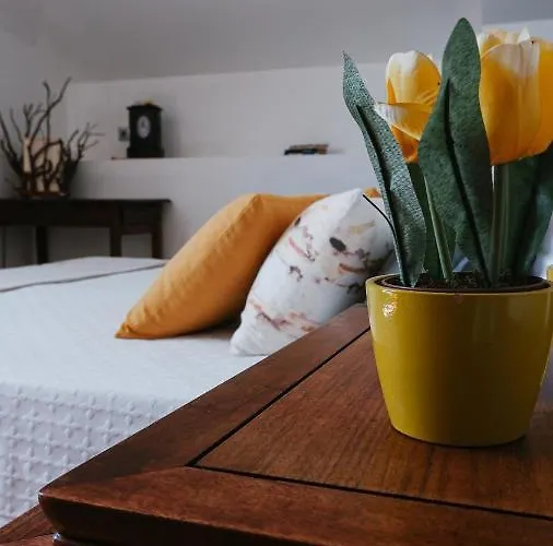 팜스테이 Quinta De Fiaes *