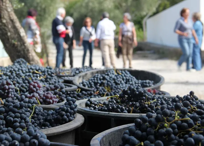 팜스테이 Quinta De Fiaes Vilar de Macada