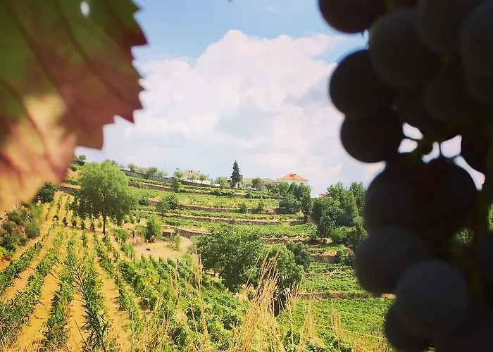 Quinta De Fiaes 팜스테이 *