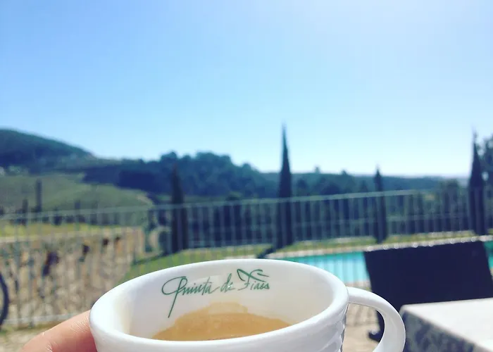 팜스테이 Quinta De Fiaes *